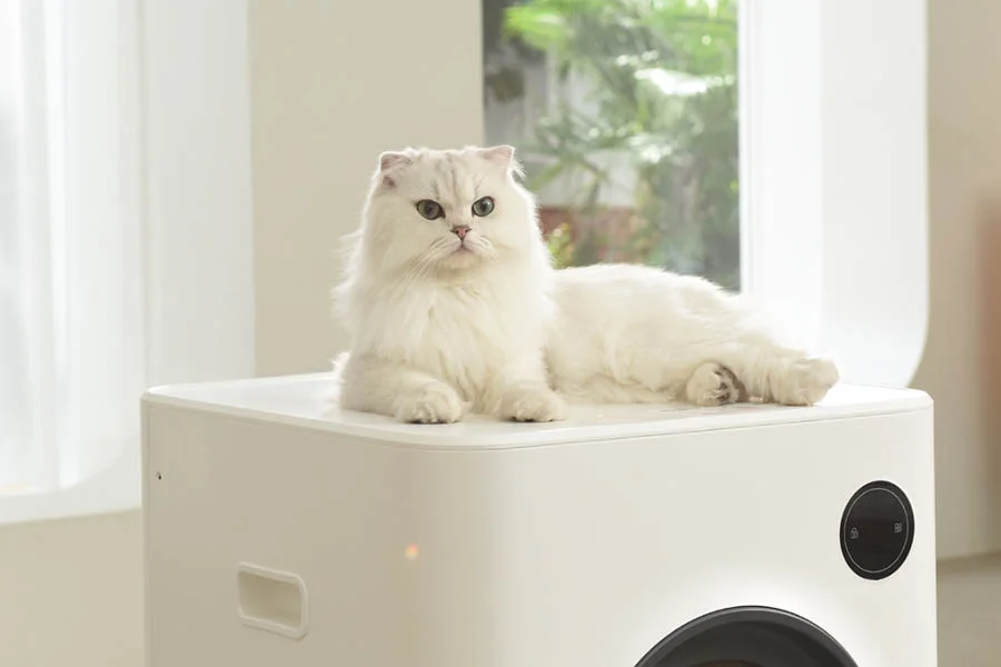 largest litter box